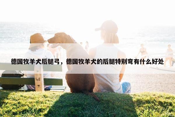 德国牧羊犬后腿弓，德国牧羊犬的后腿特别弯有什么好处