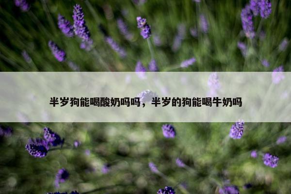 半岁狗能喝酸奶吗吗，半岁的狗能喝牛奶吗