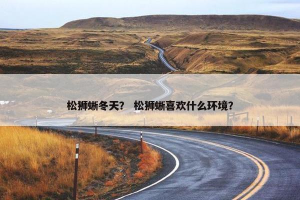 松狮蜥冬天？ 松狮蜥喜欢什么环境？