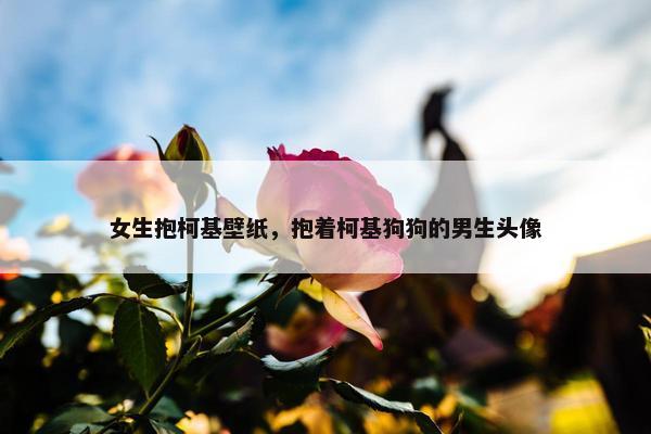 女生抱柯基壁纸，抱着柯基狗狗的男生头像
