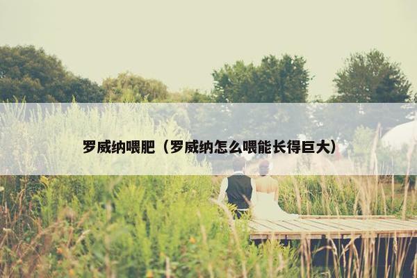 罗威纳喂肥（罗威纳怎么喂能长得巨大）