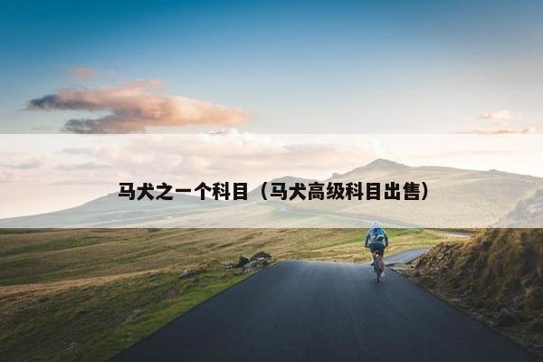 马犬之一个科目（马犬高级科目出售）