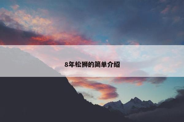 8年松狮的简单介绍