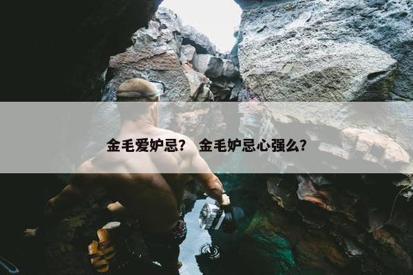 金毛爱妒忌？ 金毛妒忌心强么？
