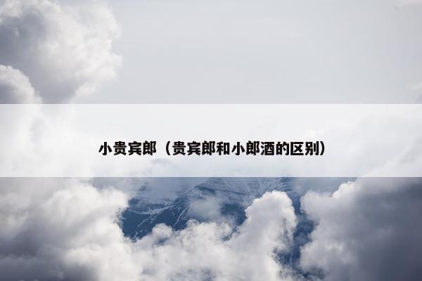小贵宾郎（贵宾郎和小郎酒的区别）