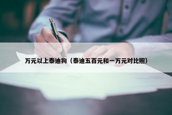 万元以上泰迪狗（泰迪五百元和一万元对比照）