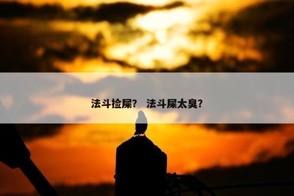 法斗捡屎？ 法斗屎太臭？