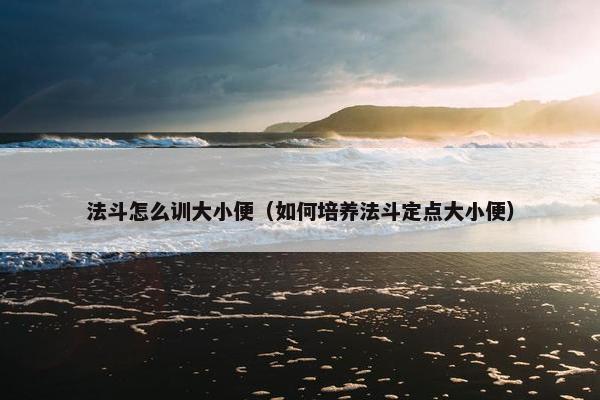 法斗怎么训大小便（如何培养法斗定点大小便）