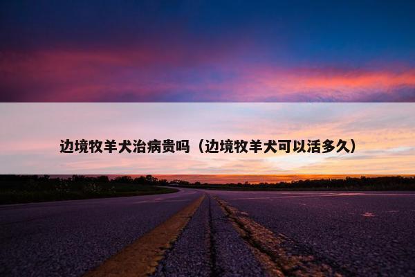 边境牧羊犬治病贵吗（边境牧羊犬可以活多久）