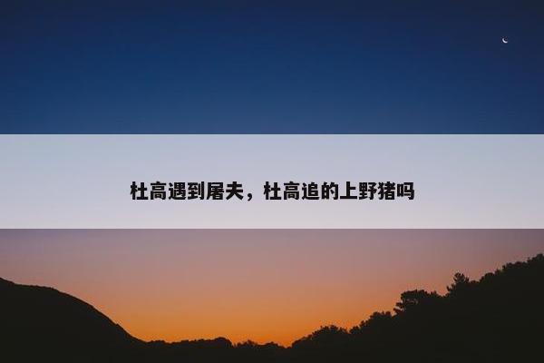 杜高遇到屠夫，杜高追的上野猪吗