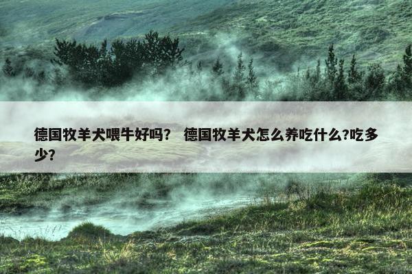 德国牧羊犬喂牛好吗？ 德国牧羊犬怎么养吃什么?吃多少？