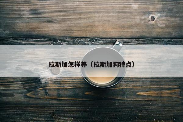 拉斯加怎样养（拉斯加狗特点）