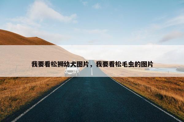 我要看松狮幼犬图片，我要看松毛虫的图片