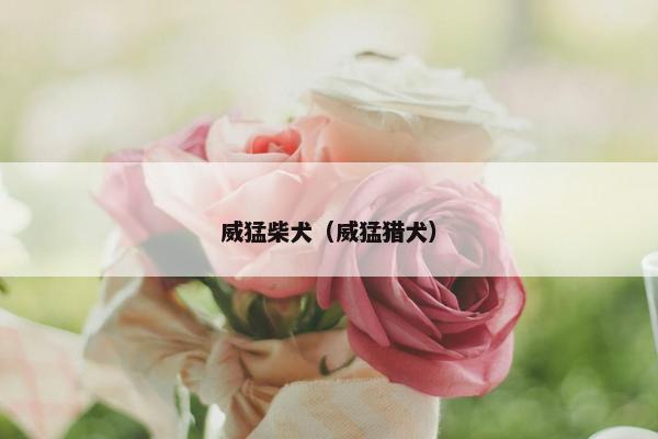 威猛柴犬（威猛猎犬）