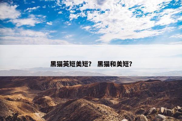 黑猫英短美短？ 黑猫和美短？
