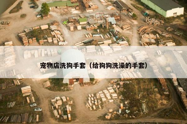 宠物店洗狗手套（给狗狗洗澡的手套）