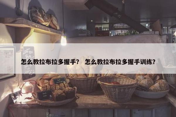 怎么教拉布拉多握手？ 怎么教拉布拉多握手训练？