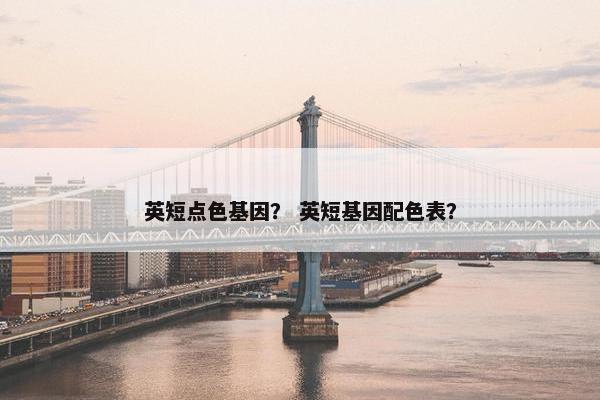 英短点色基因？ 英短基因配色表？