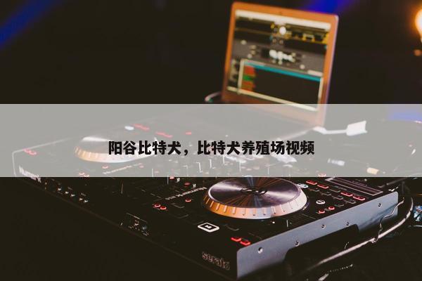 阳谷比特犬，比特犬养殖场视频
