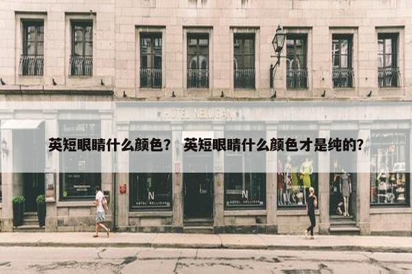 英短眼睛什么颜色？ 英短眼睛什么颜色才是纯的？