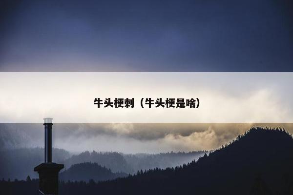 牛头梗刺（牛头梗是啥）