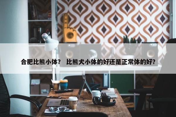 合肥比熊小体？ 比熊犬小体的好还是正常体的好？