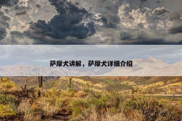 萨摩犬讲解，萨摩犬详细介绍