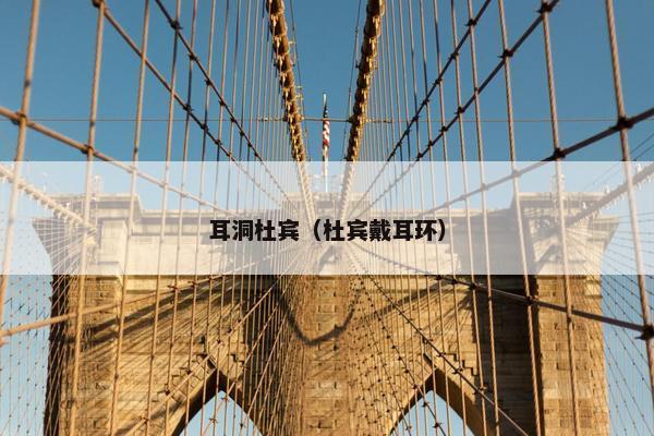 耳洞杜宾（杜宾戴耳环）