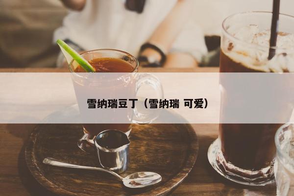 雪纳瑞豆丁（雪纳瑞 可爱）