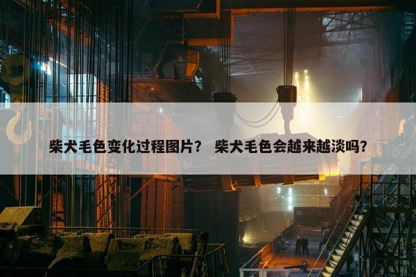 柴犬毛色变化过程图片？ 柴犬毛色会越来越淡吗？