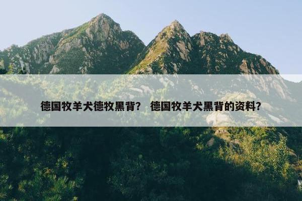 德国牧羊犬德牧黑背？ 德国牧羊犬黑背的资料？