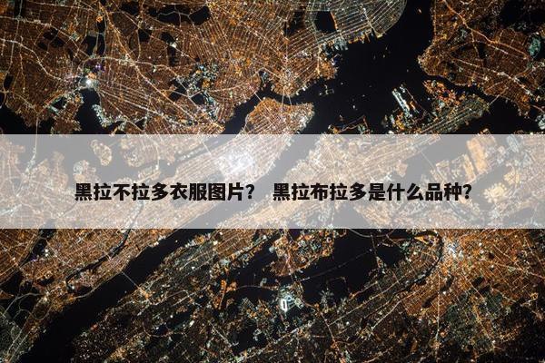 黑拉不拉多衣服图片？ 黑拉布拉多是什么品种？