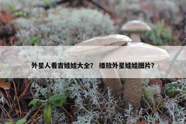 外星人看吉娃娃大全？ 播放外星娃娃图片？