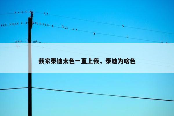我家泰迪太色一直上我，泰迪为啥色