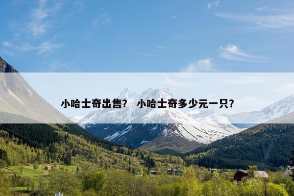 小哈士奇出售？ 小哈士奇多少元一只？