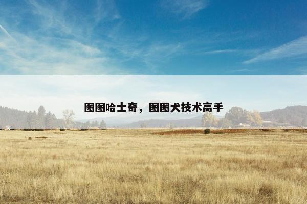 图图哈士奇，图图犬技术高手