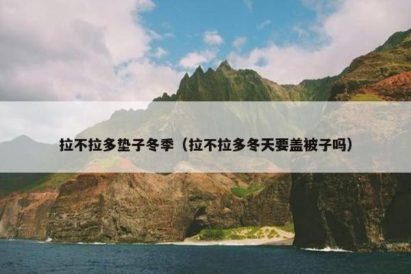 拉不拉多垫子冬季（拉不拉多冬天要盖被子吗）