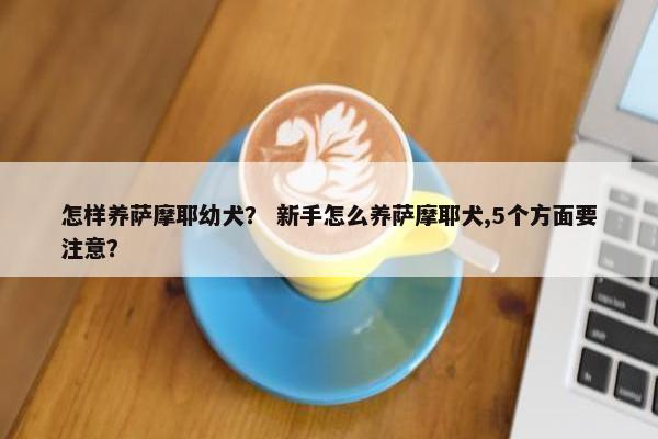 怎样养萨摩耶幼犬？ 新手怎么养萨摩耶犬,5个方面要注意？