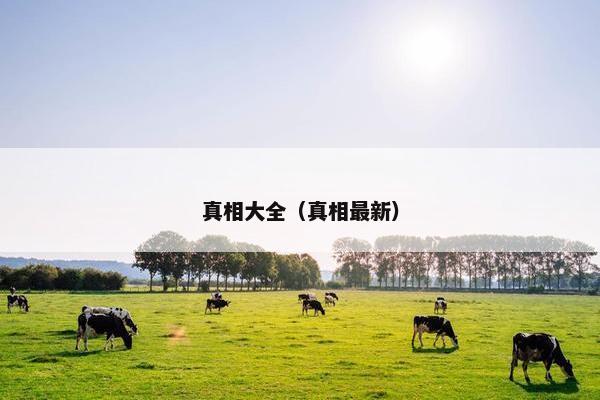 真相大全（真相最新）