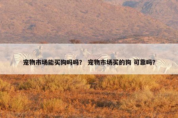 宠物市场能买狗吗吗？ 宠物市场买的狗 可靠吗？
