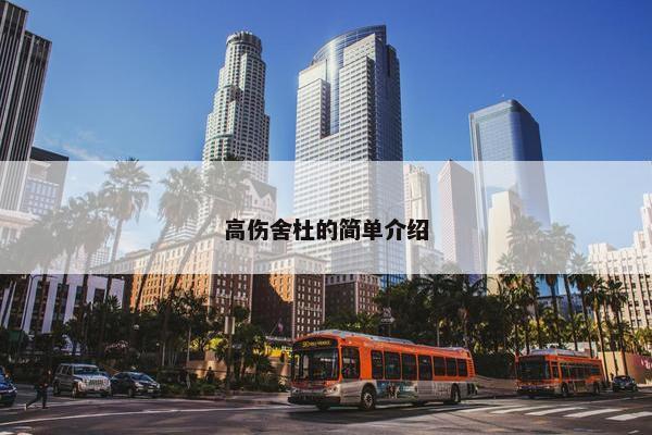 高伤舍杜的简单介绍