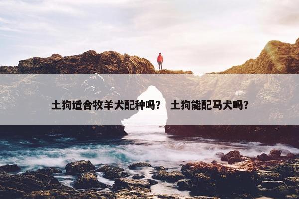 土狗适合牧羊犬配种吗？ 土狗能配马犬吗？