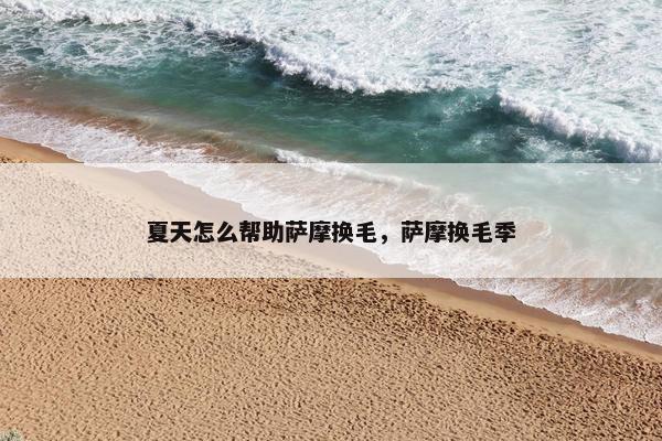 夏天怎么帮助萨摩换毛，萨摩换毛季