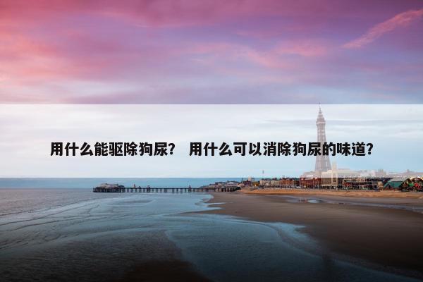 用什么能驱除狗尿？ 用什么可以消除狗尿的味道？