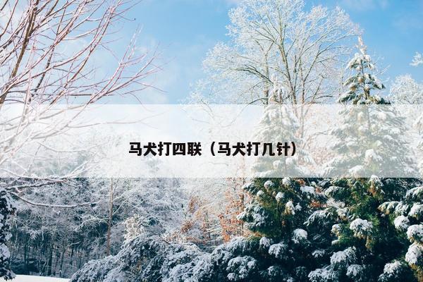 马犬打四联（马犬打几针）