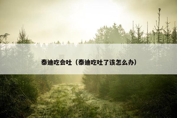 泰迪吃会吐（泰迪吃吐了该怎么办）