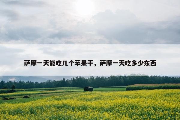 萨摩一天能吃几个苹果干，萨摩一天吃多少东西
