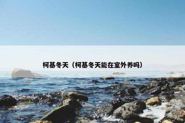 柯基冬天（柯基冬天能在室外养吗）