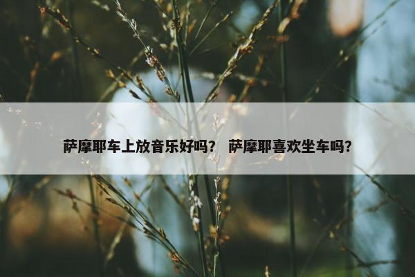 萨摩耶车上放音乐好吗？ 萨摩耶喜欢坐车吗？