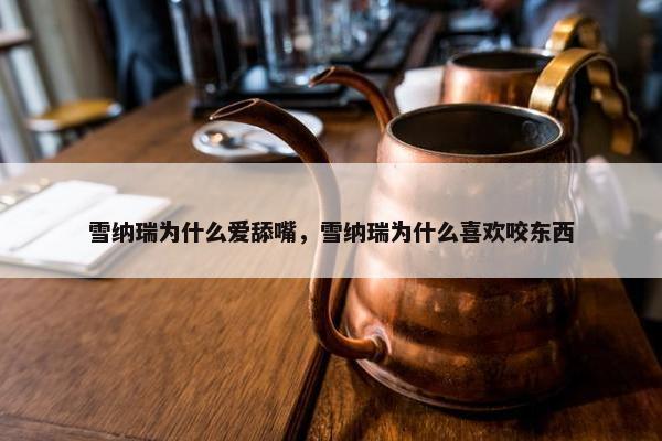雪纳瑞为什么爱舔嘴，雪纳瑞为什么喜欢咬东西